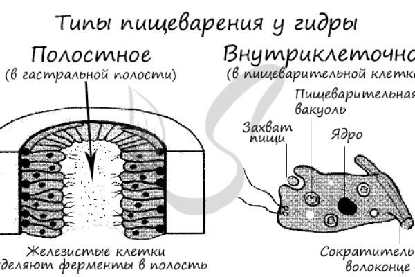 Как вывести деньги с кракена тор
