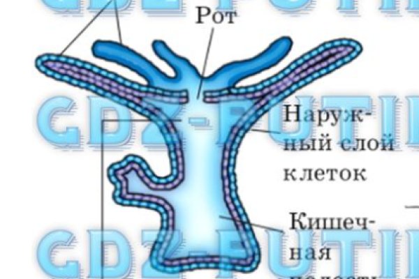 Услуги даркнета