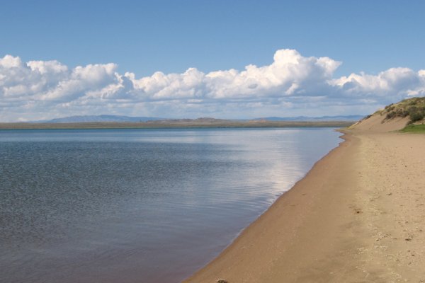 Кракен кз