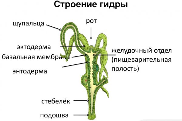 Вход в кракен даркнет
