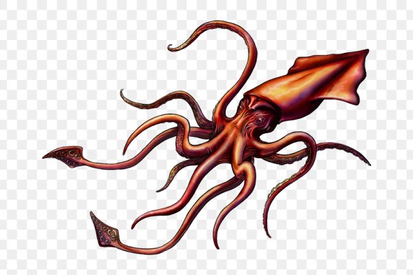 Kraken darknet marketplace