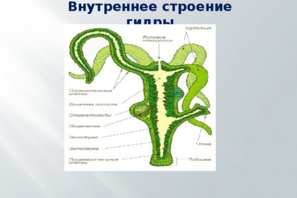 Что такое кракен маркетплейс