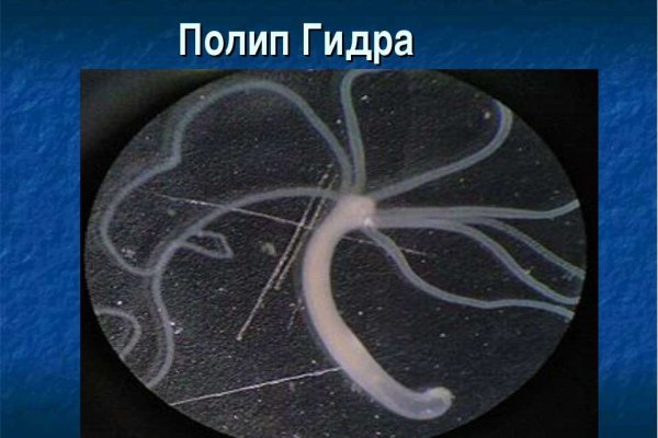 Кракен сайт что
