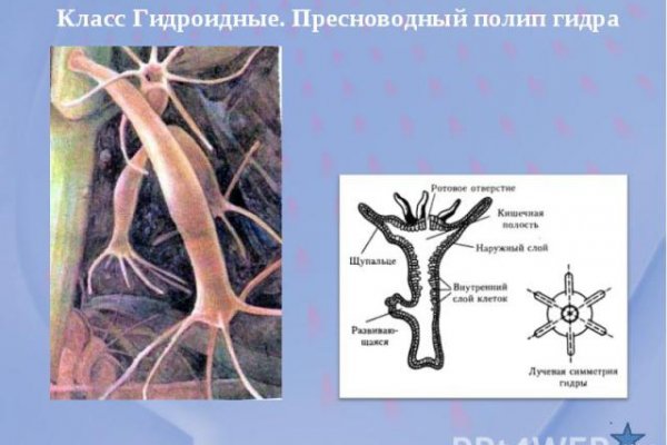 Кракен маркетплейс как зайти