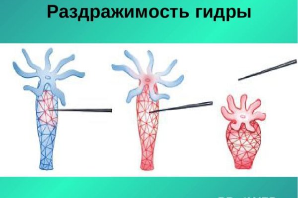 Что такое кракен маркетплейс курительный смесс