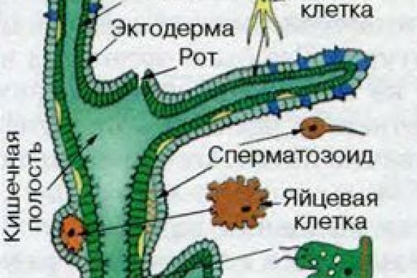 Kra39.cc